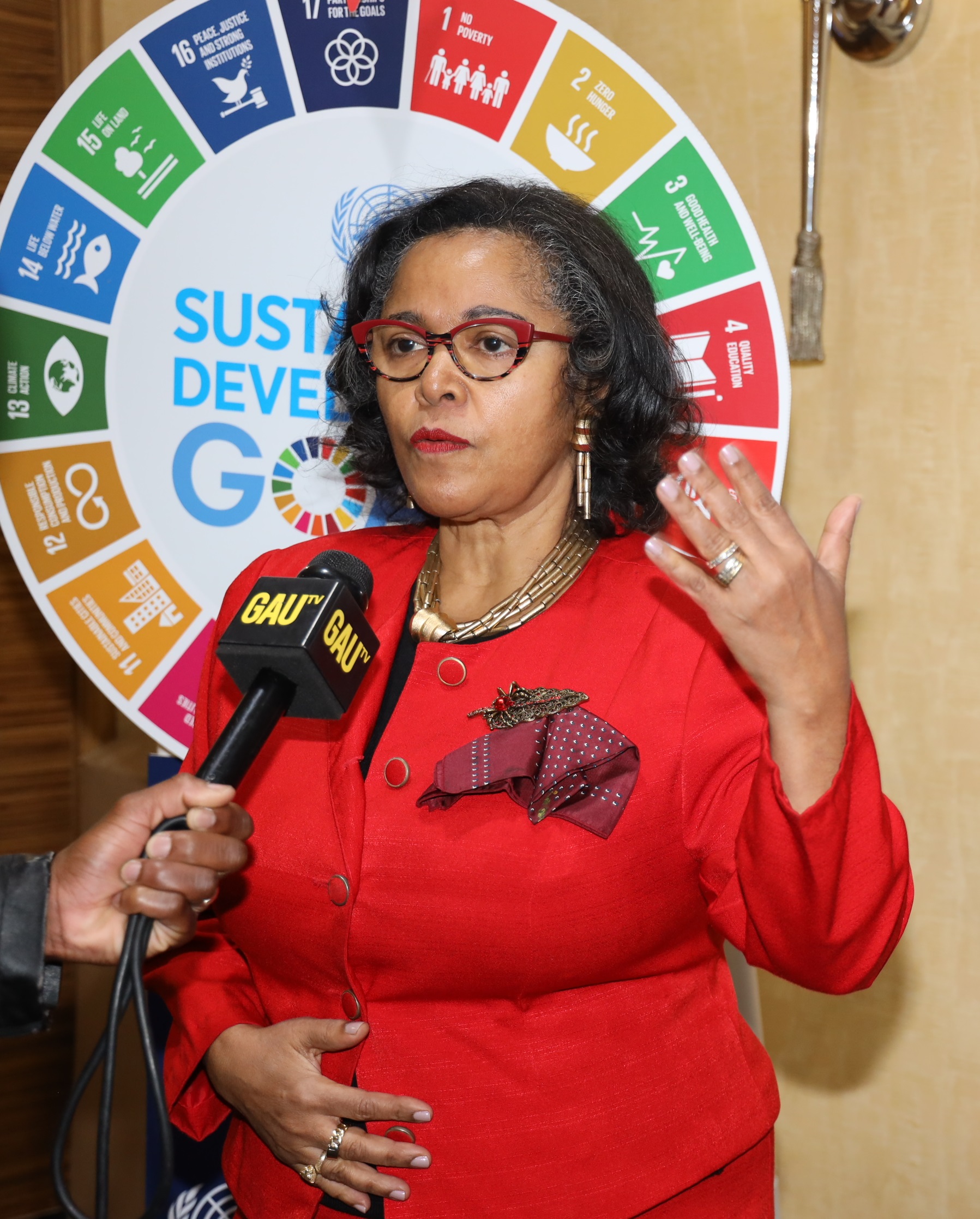 UN-Media engagement to promote awareness on the SDGs in South Africa