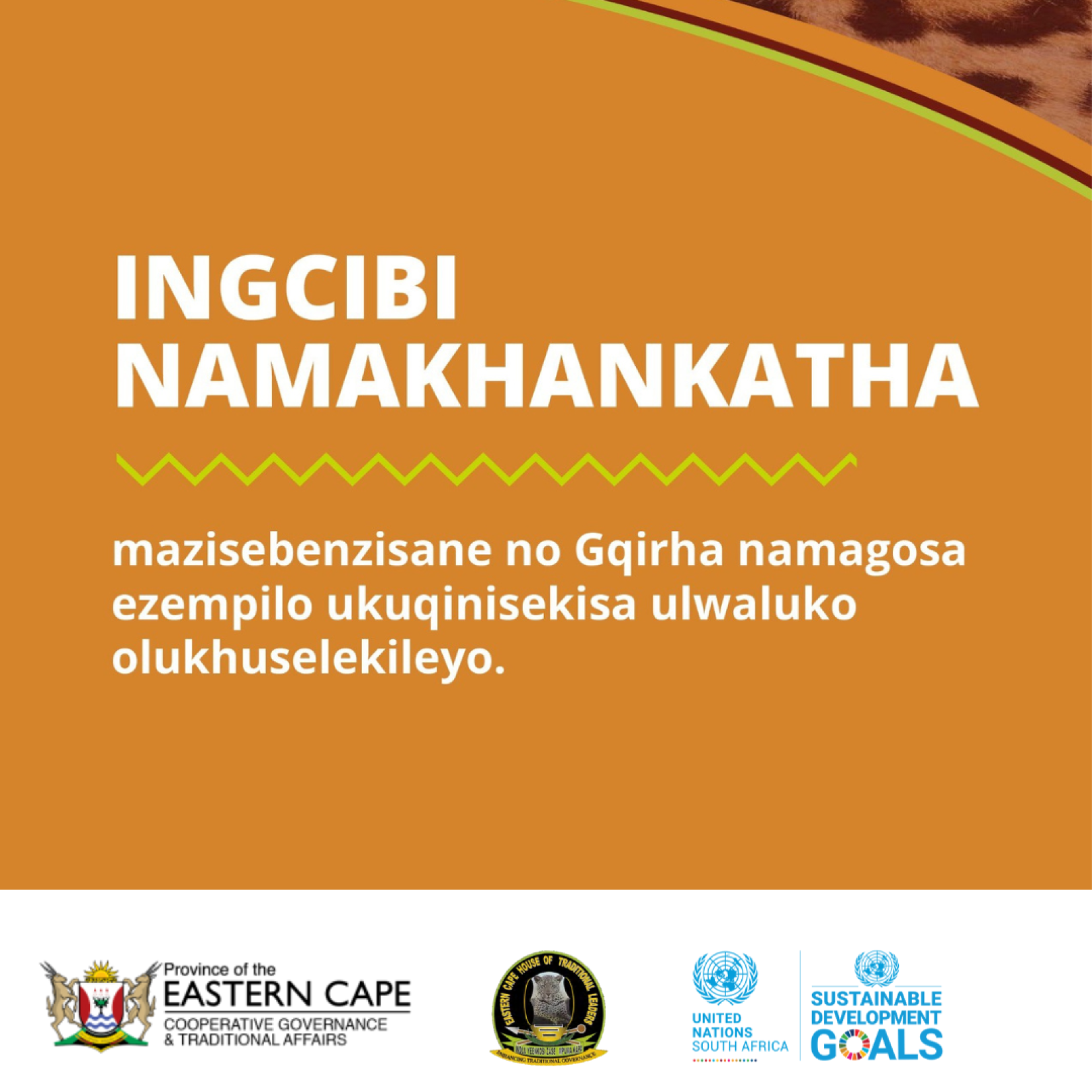 Eastern Cape Provincial Initiation Project | United Nations in South Africa