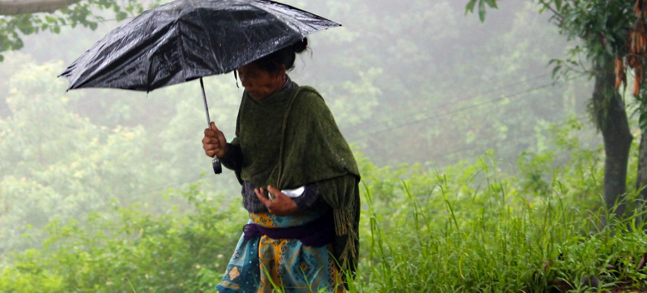 Rains