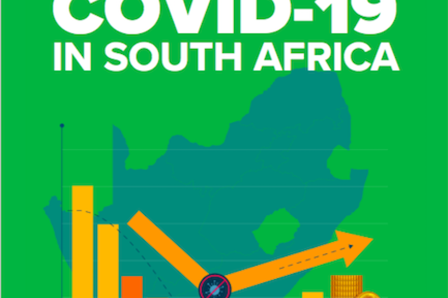 UNDP/Socio-Economic Impact Of COVID-19 In South Africa 2020 | United ...