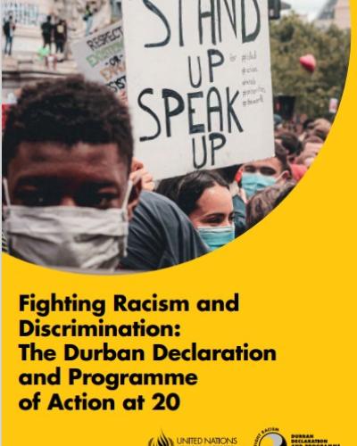 The Durban Declaration and Programme of Action